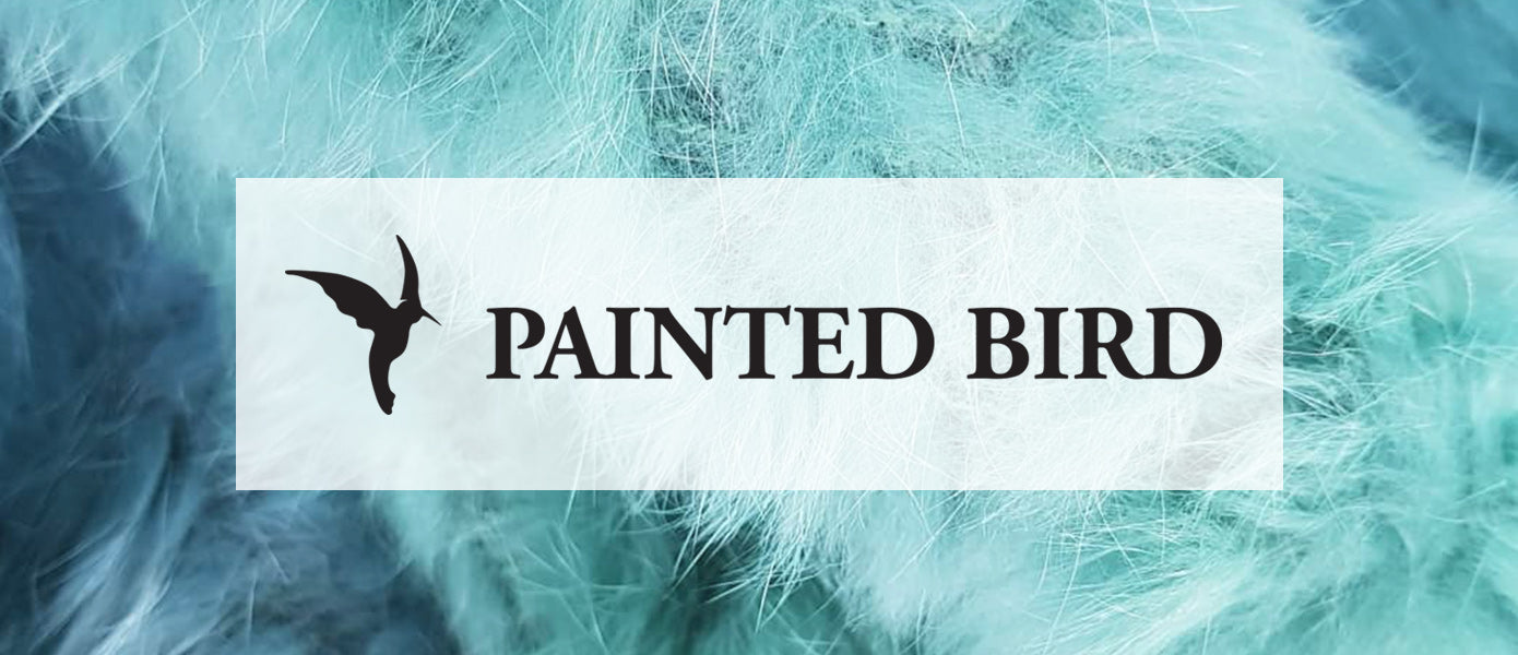 Painted Bird Vintage Boutique