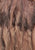 Vintage Clothing - Exquisite Champaigne Fur - Painted Bird Vintage Boutique & The Aviary - Coat