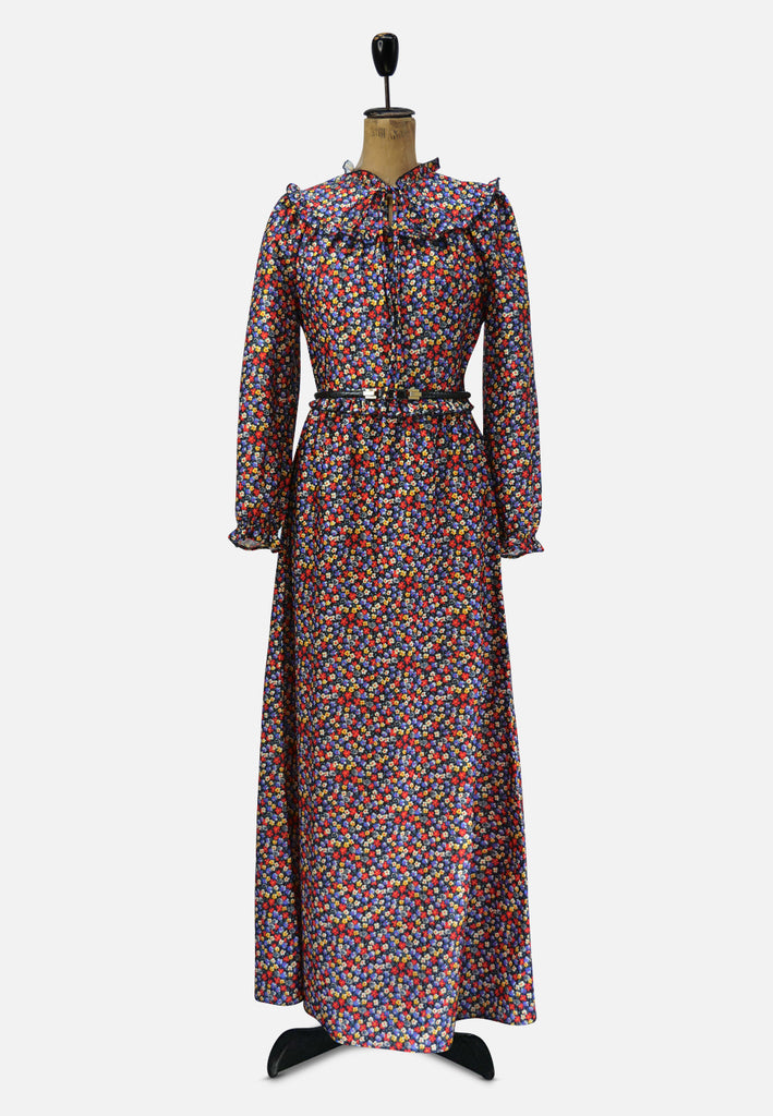 Vintage Clothing - Peasantly Maxi Dress - Painted Bird Vintage Boutique & The Aviary - Dresses