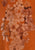 Vintage Clothing - Love L'Orange Ensemble - Painted Bird Vintage Boutique & The Aviary - Ensemble
