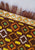 Vintage Clothing - Autumn Effects Scarf - Painted Bird Vintage Boutique & The Aviary - Scarves