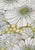 Vintage Clothing - Delicate Flower Scarf - Painted Bird Vintage Boutique & The Aviary - Scarves