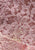 Vintage Clothing - Pink Lace En Ka Ensemble - Painted Bird Vintage Boutique & The Aviary - Ensemble