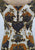Vintage Clothing - Carena Paisley Sensation Dress - Painted Bird Vintage Boutique & The Aviary - Dresses