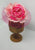 Vintage Clothing - Phillip Treacy Designer Fascinator - Painted Bird Vintage Boutique & The Aviary - Hat