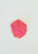 Vintage Clothing - Precious Pink Scarf - Painted Bird Vintage Boutique & The Aviary - Scarves