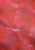 Vintage Clothing - Ravishing Rusted Red and Pink Japanese Kimono - Painted Bird Vintage Boutique & The Aviary - Kimono