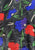 Vintage Clothing - Luxe Black Jacket - Designer - Painted Bird Vintage Boutique & The Aviary - Coats & Jackets