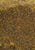 Vintage Clothing - Stunning Golden Raphael - Painted Bird Vintage Boutique & The Aviary - Dresses