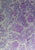 Vintage Clothing - Pansy Purple Dress - Painted Bird Vintage Boutique & The Aviary - Dresses