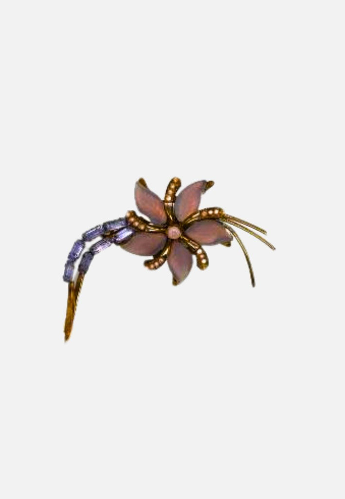 Shooting Star Brooch 'VIP'