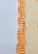 Dots Of Orange 'VIP'