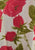 Vintage Clothing - Warring of Roses Coat 'VIP' - Painted Bird Vintage Boutique & The Aviary - Coats & Jackets