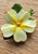 Winton Springtime Brooch