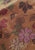 Vintage Clothing - Autumn Resonates Kimono - Painted Bird Vintage Boutique & The Aviary - Kimono